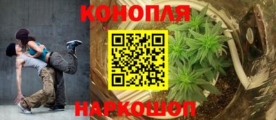 дживик Будённовск